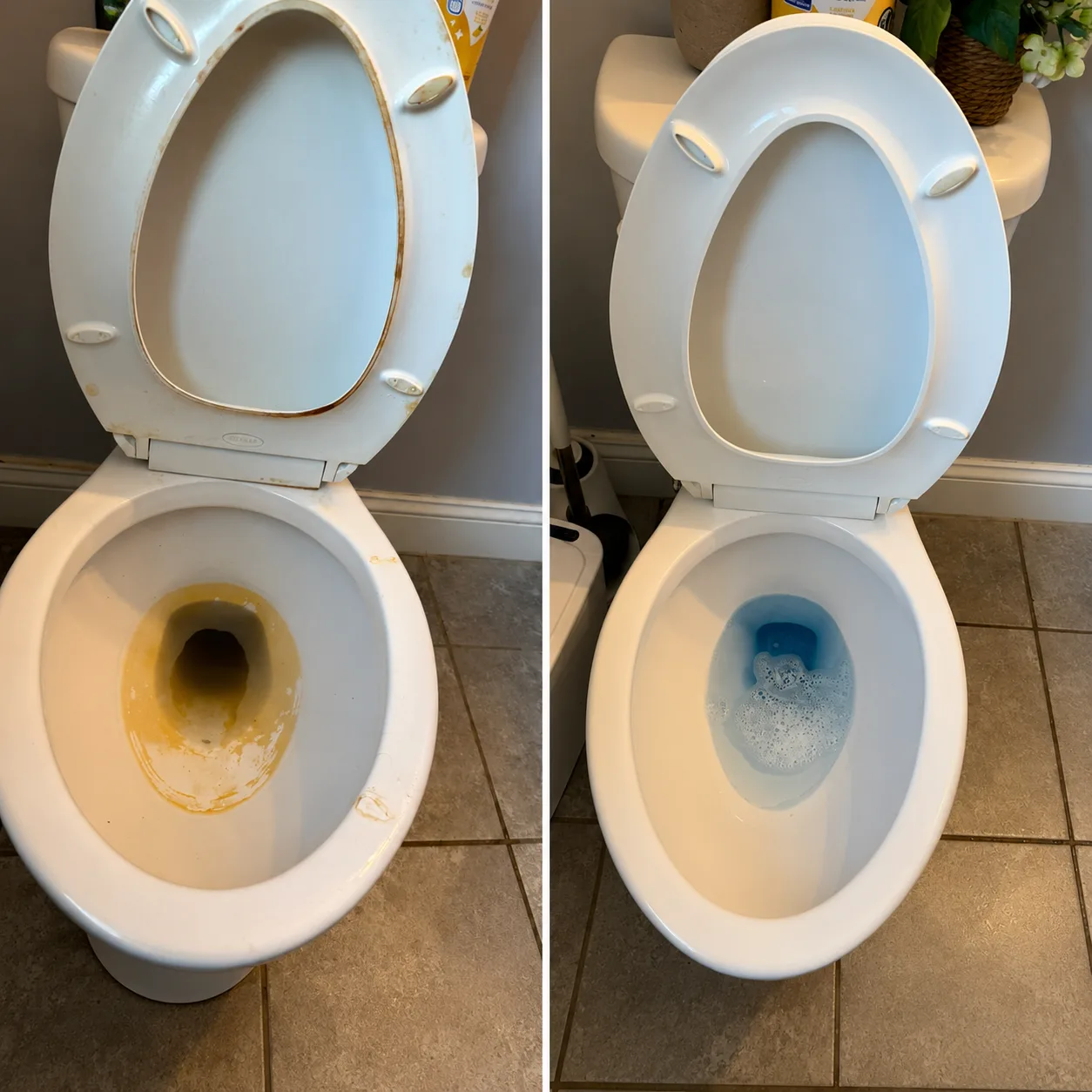 Real before and after of a toilet deep cleaning